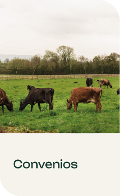 Convenios