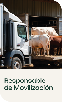 Responsable de Movilización